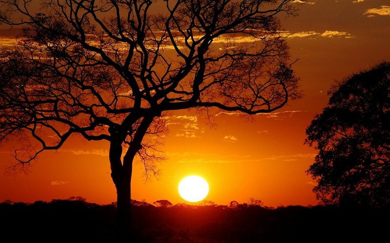 Um tête-a-tetê com São Pedro clamando por chuva