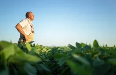 Resolução traz a publicação de nova linha de Crédito emergencial para agricultores