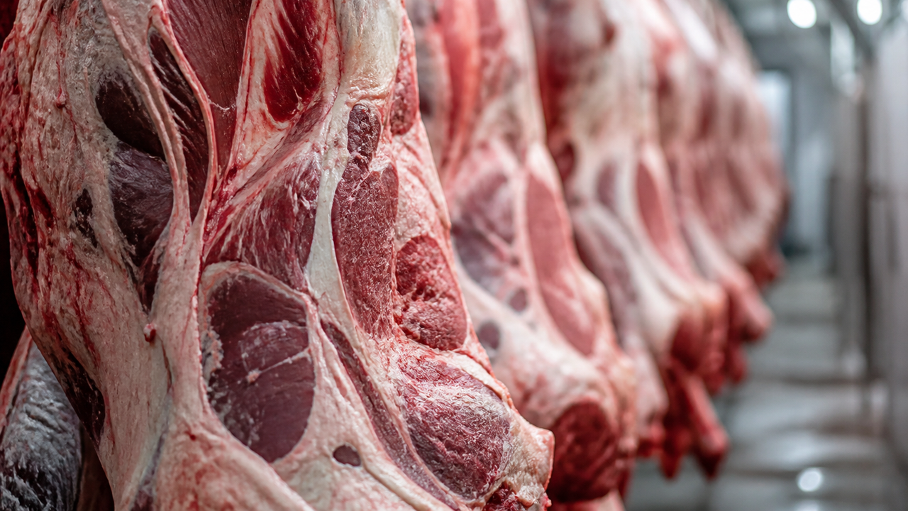 Governo diz ter recebido veto à carne brasileira pela UE com 'indignação' e ameaça adotar 'medidas de reciprocidade'