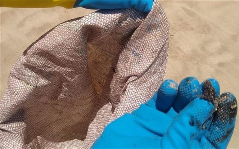 Fragmentos de óleo voltam a aparecer em três Estados do Nordeste