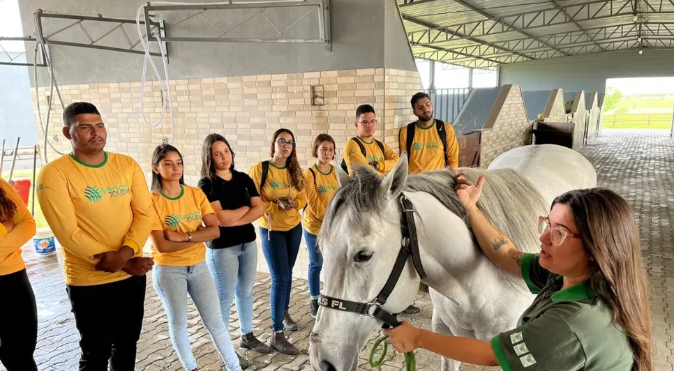 Senar Sergipe oferta cursos profissionalizantes gratuitos no setor agropecuário; saiba como participar