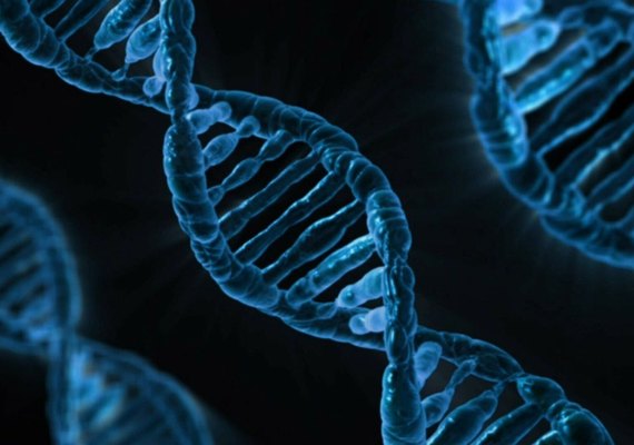 Mapeamento de DNA de brasileiros revela mais de 8 milhões de mutações genéticas desconhecidas