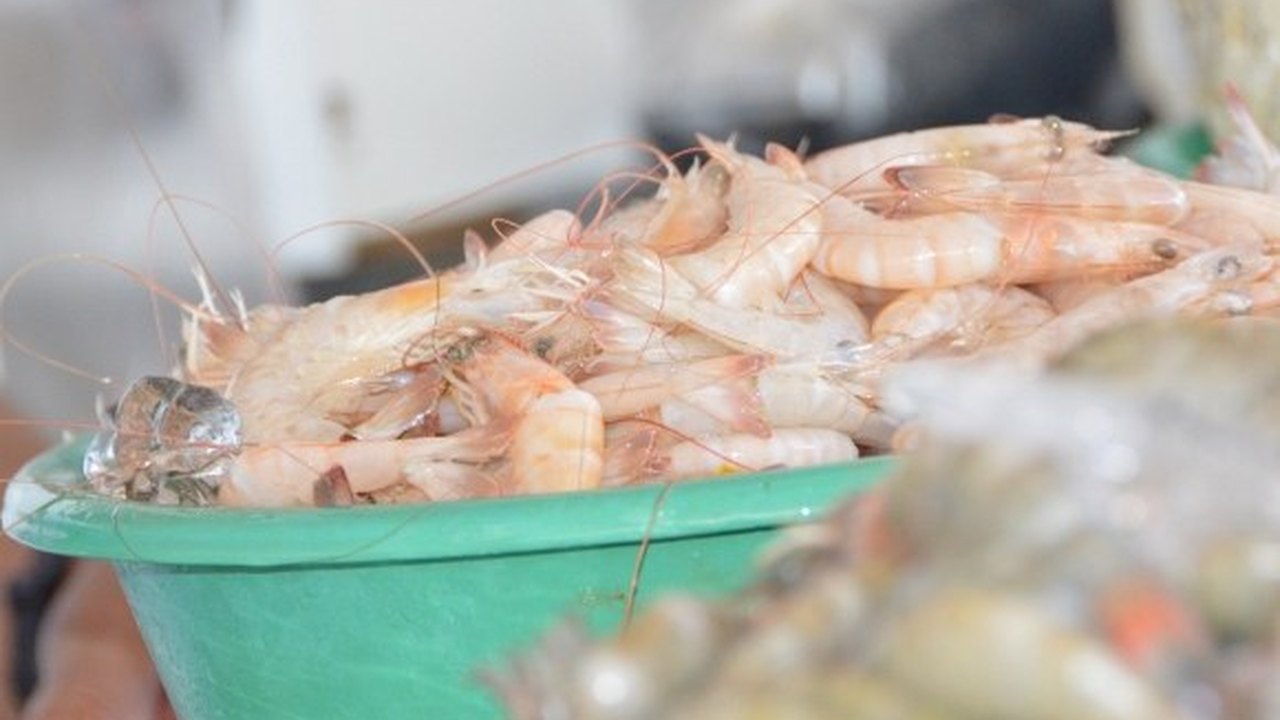 Benefícios do consumo do pescado vão além da Semana Santa