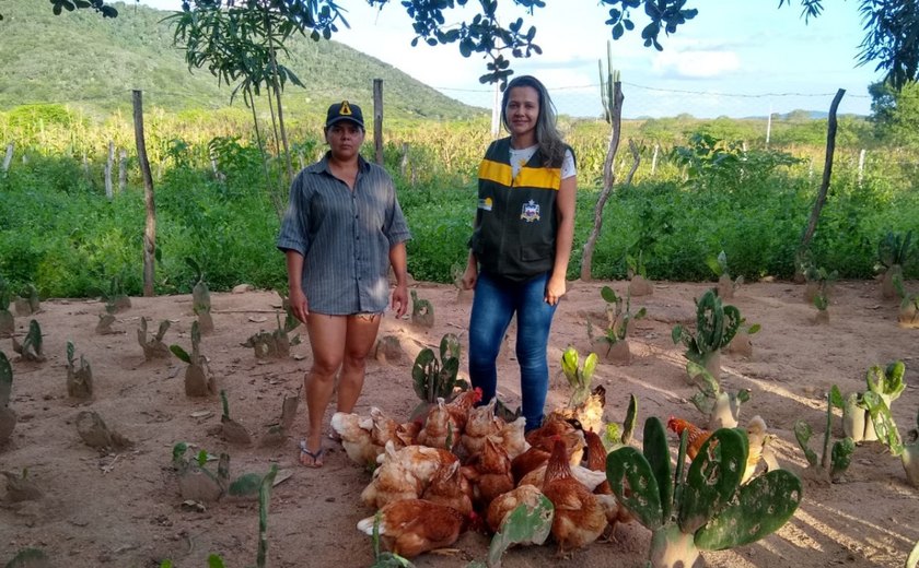 Dia da avicultura: Emater atende 2 mil famílias que vivem da criação de aves em 42 municípios