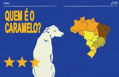 DNA do vira-lata caramelo do Nordeste revela perfil sociável e de convivência, aponta estudo de PEDIGREE®