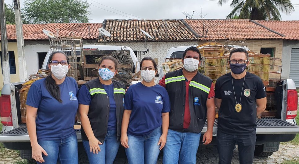 apreensão animais silvestres