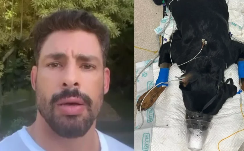 Cauã Reymond diz que seus cachorros foram envenenados: 'maldade sem tamanho'; veja vídeo