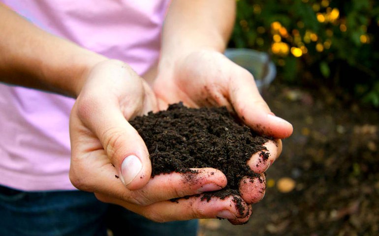 Compostagem ajuda na produção de adubo, além de diminuir lixo orgânico