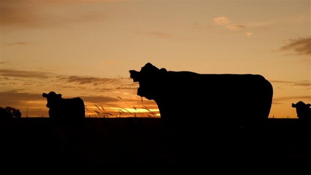 Expoagro 2020 vai gerar empregos diretos em AL