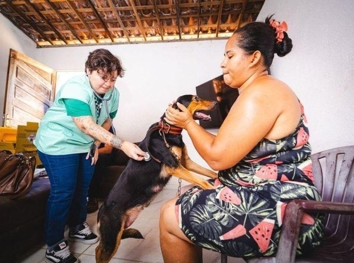 Bem-estar animal avança em Maceió com reforço de ações em 2025