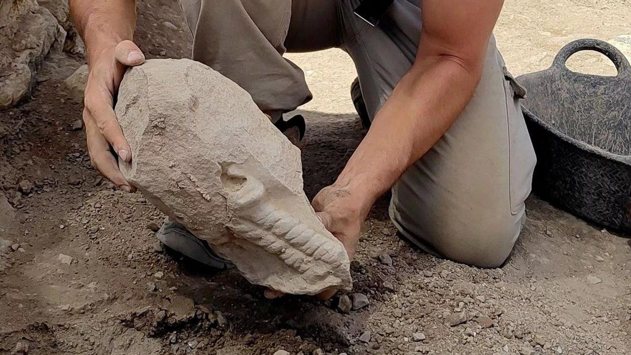 Cabeça de 2 mil anos revela jovem ibérico em sítio romano, na Espanha