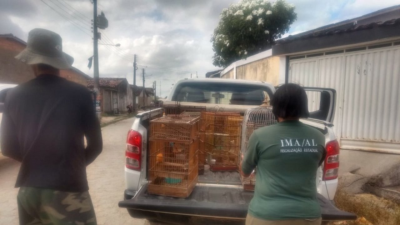 Operação Curupira 11 efetua cerca de 90 mil em multas por crimes ambientais