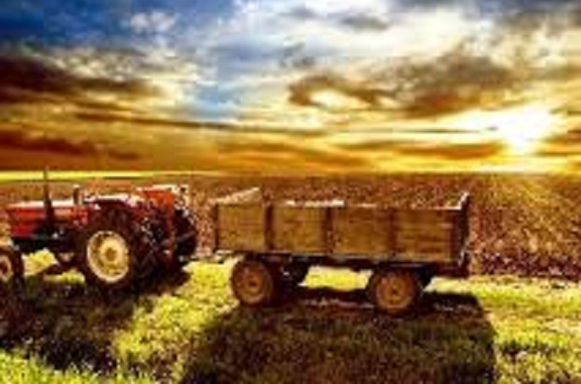 Melhora na percepção da economia faz agronegócio recuperar otimismo