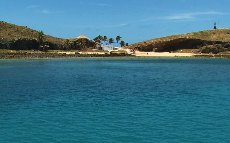 Saiba o que é a 'talassofobia', condição que causa medo de águas profundas, animais marinhos e imensidão