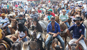 Fotos: divulgação