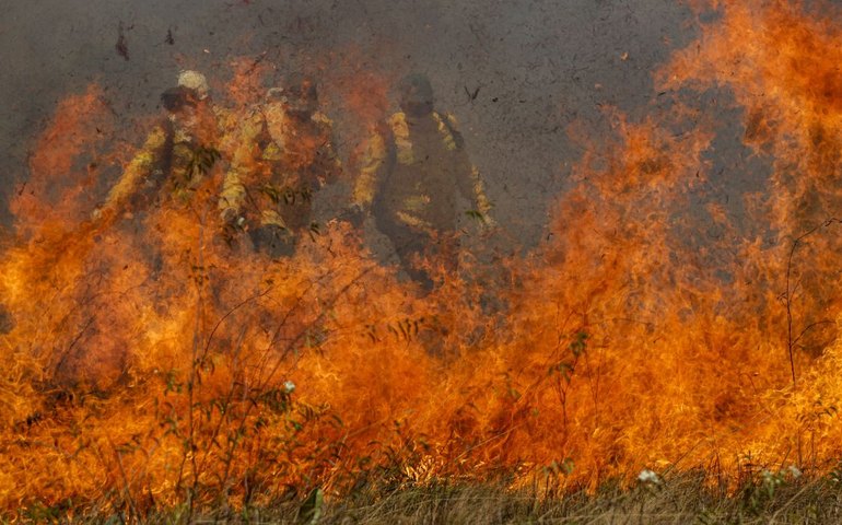 Parque da Cantareira é fechado por causa de incêndio; total chega a 81