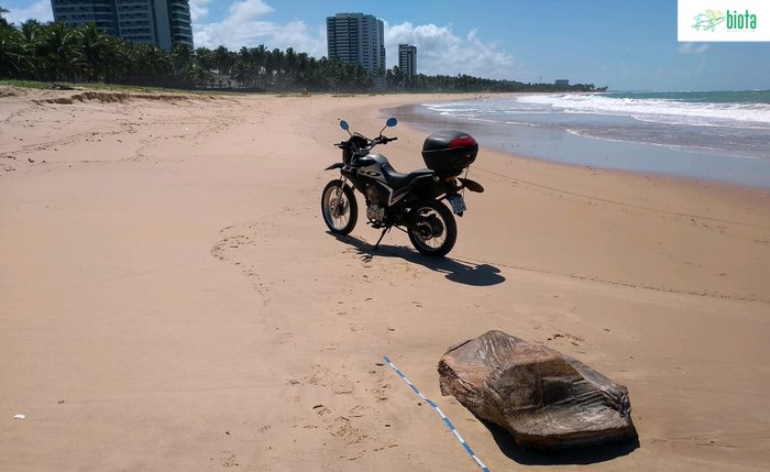 Material foi encontrado na praia de Guaxuma, em Maceió