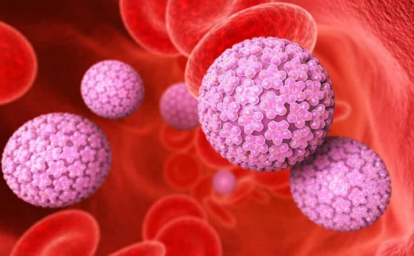 20% das brasileiras não sabem que o HPV pode causar câncer de colo de útero, diz estudo