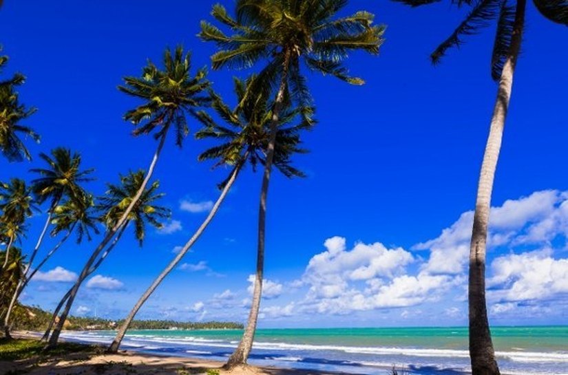 Sedetur mantém agenda cultural colaborativa no portal turismoalagoas.com