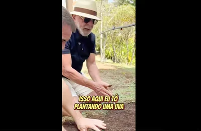 Em vídeo a Trump, Lula planta uva e diz semear comida e não ódio