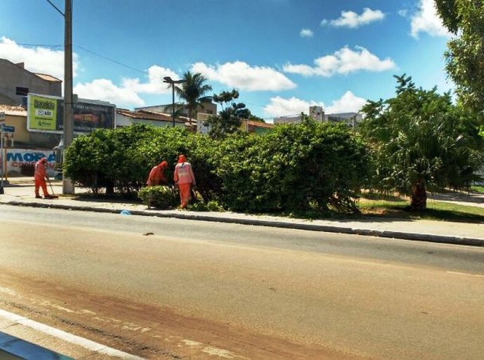Após retirada de animais, prefeitura realiza serviços de poda e limpeza em parques de Arapiraca