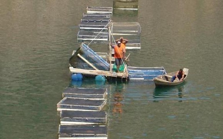 Piscicultura de Alagoas é destaque em Feira Pernambucana