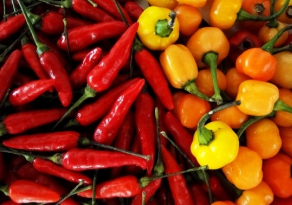 Seagri promove Dia de Campo da Pimenta, em Jundiá, nesta segunda-feira