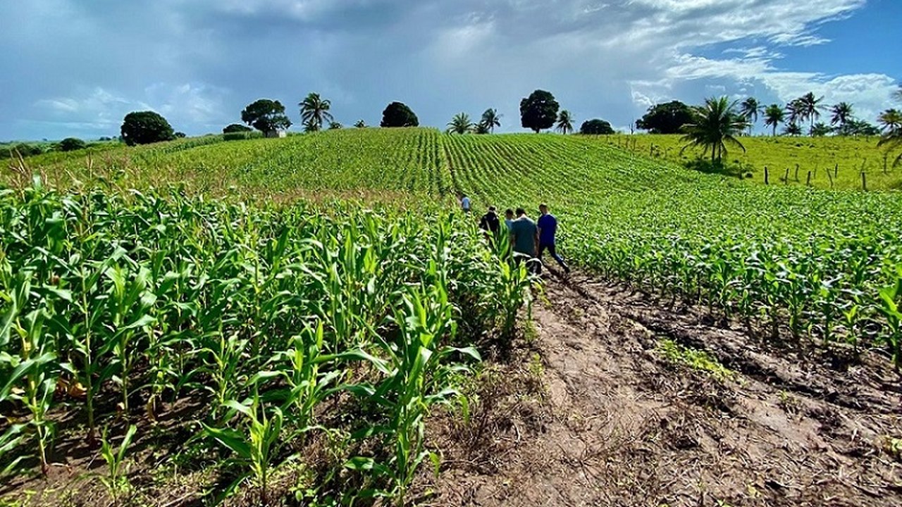 Assistência do governo Ronaldo Lopes ao agricultor melhora qualidade de vida no meio rural