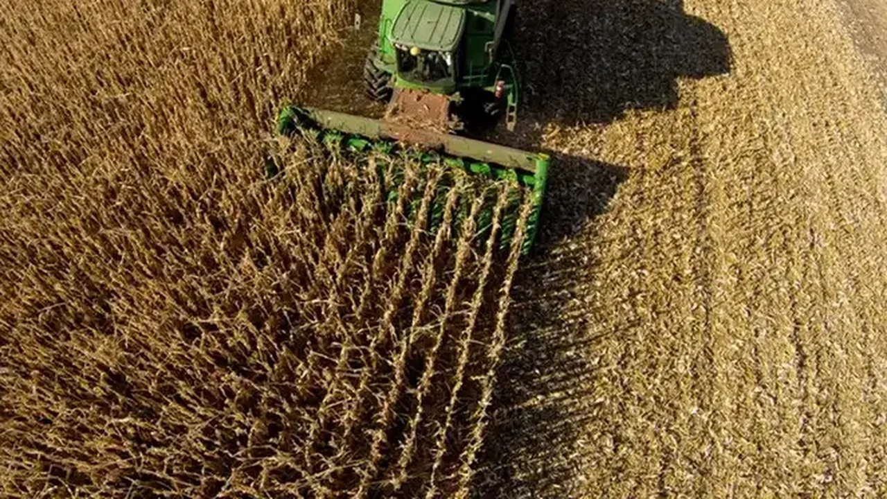 B3: índices do agro e de estatais lideram ganhos no 1º semestre