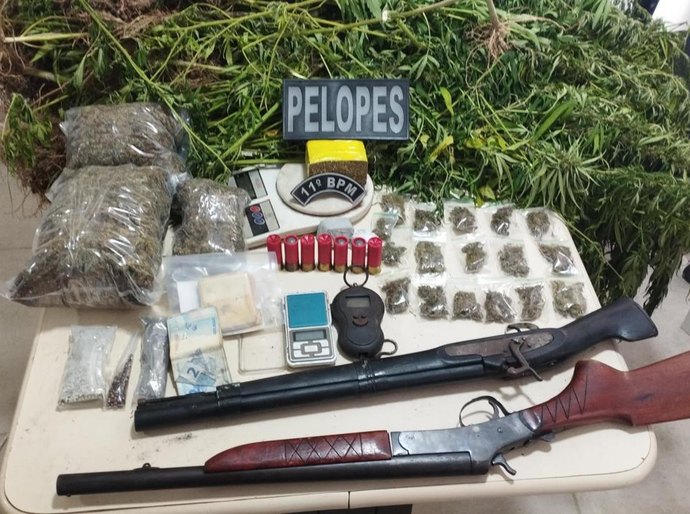 PM descobre plantação de maconha e prende suspeito armado em Penedo