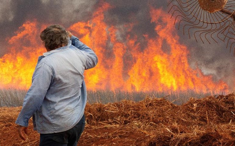 São Paulo terá risco máximo de incêndios em quase todas as regiões no fim da semana