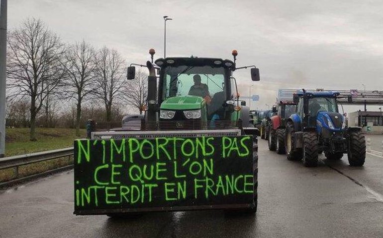 Acordo Mercosul-UE pode agravar situação dos pequenos produtores rurais franceses