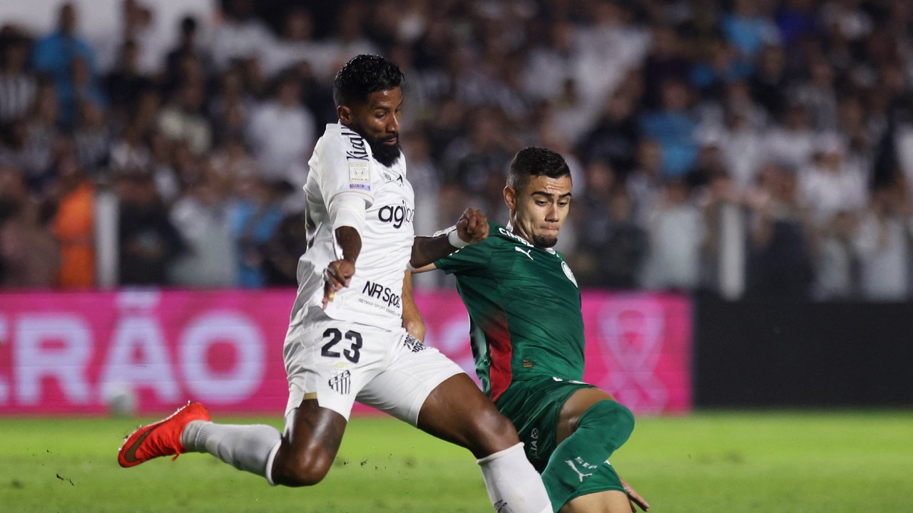 Brasileirão: Palmeiras empata com o Santos e Flamengo agradece