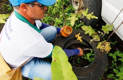 Secretaria de Saúde de Palmeira alerta para doenças causadas por água das chuvas