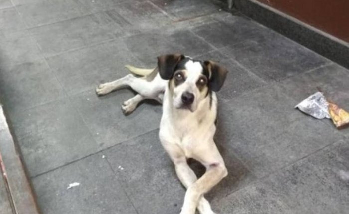 Foto: Divulgação
