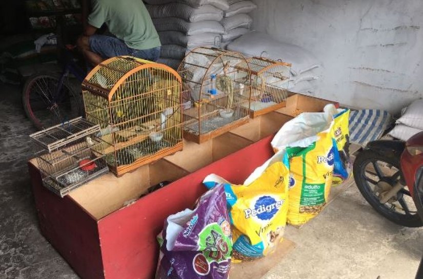 Equipe de fiscalização do IMA flagra irregularidades no Agreste e Litoral Sul