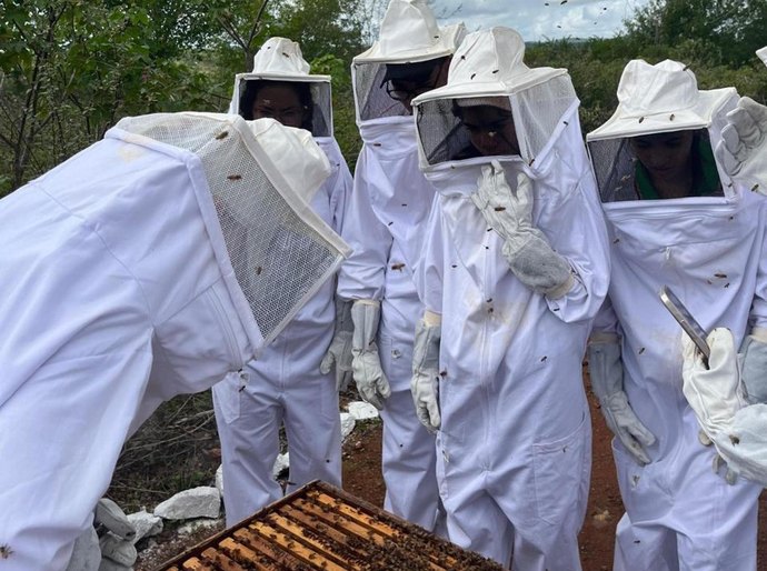 Banco do Nordeste lança programa para desenvolver apicultura no agreste Alagoano