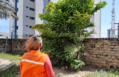 Defesa Civil Maceió alerta sobre rajadas de ventos que podem chegar a 45km/h