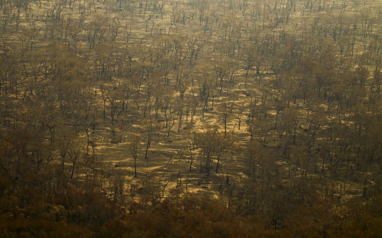 Incêndios e seca na Amazônia e no Pantanal batem marcas históricas