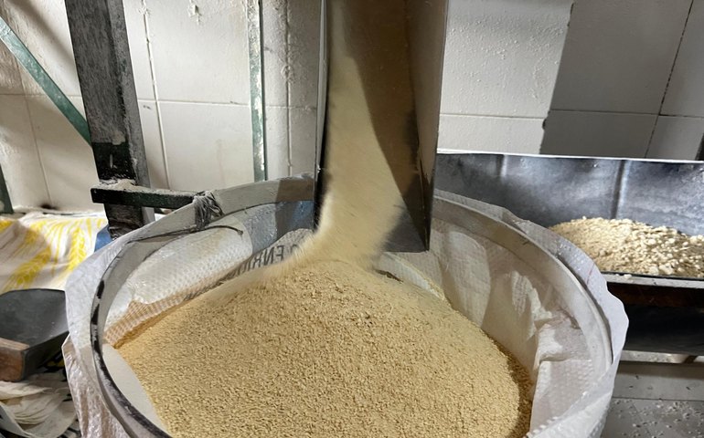 Alagoas participa de missão em Sergipe para conhecer potencialidades do mercado da mandioca