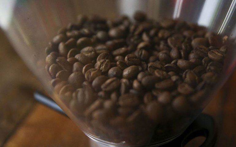 'Todo mundo está iludido': cientistas estabelecem horário seguro para tomar café