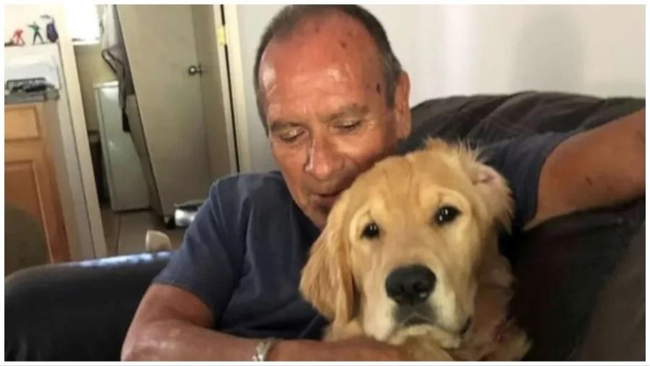 Homem morre carbonizado ao tentar salvar cachorro de incêndio no Havaí