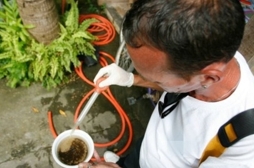 Arapiraca realizará grande mutirão de combate ao aedes aegypti a partir de 2ª