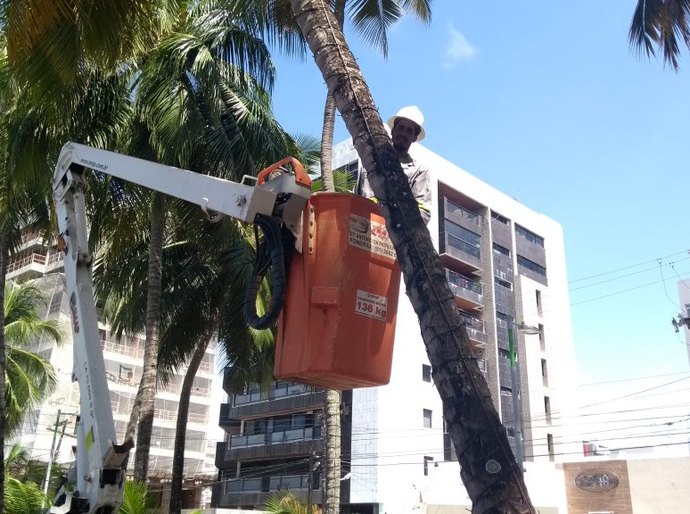 Decoração natalina da capital vai homenagear folguedos alagoanos
