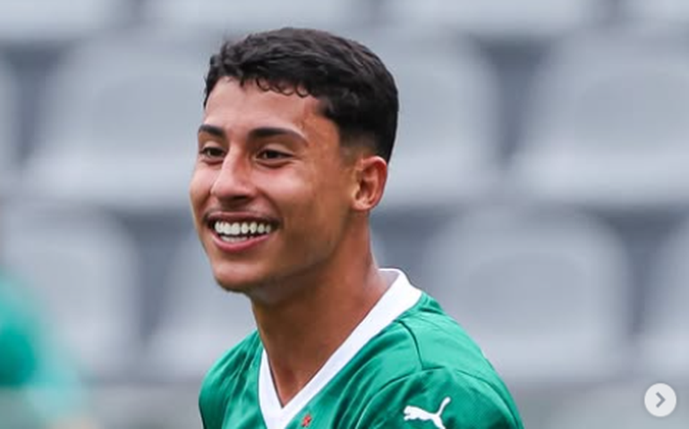 Palmeiras amplia chances de título do Brasileirão após goleada; veja probabilidades