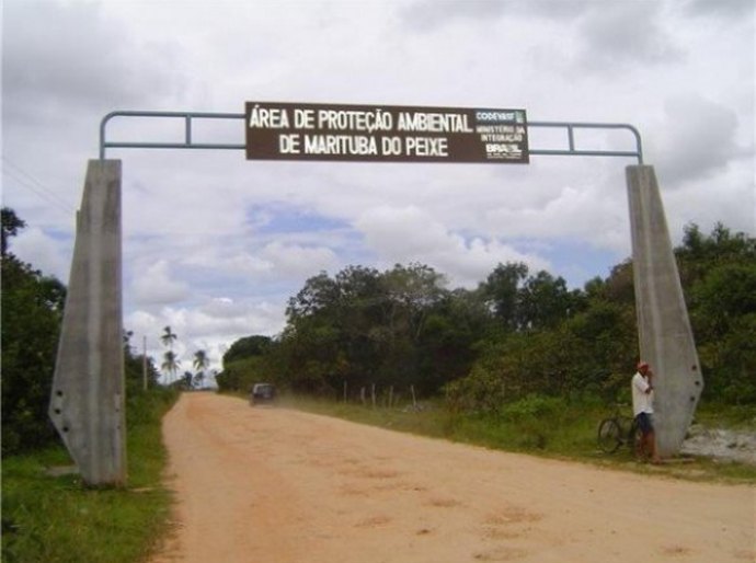 Institutos incentivam pesquisa na APA da Marituba do Peixe