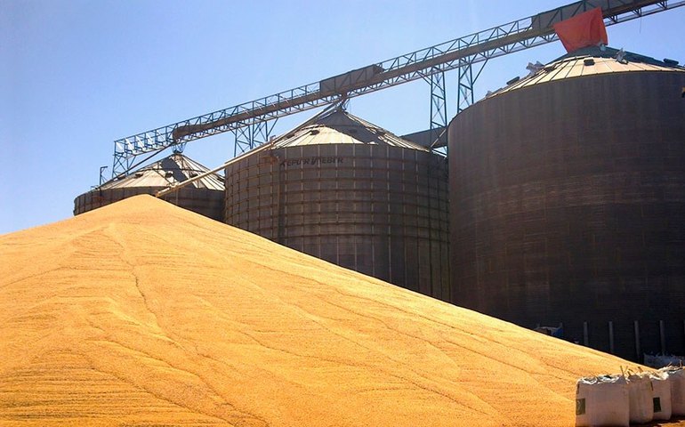 Óleo de soja/USDA: EUA vendem 8,2 mil toneladas da safra 2024/25 na semana
