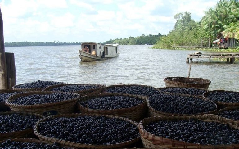 CCJ aprova títulos e novas datas nacionais de celebração