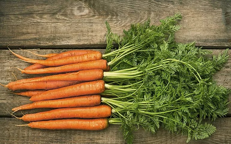 Cenoura sobe 166% em 12 meses no IPCA e lidera aumentos no período