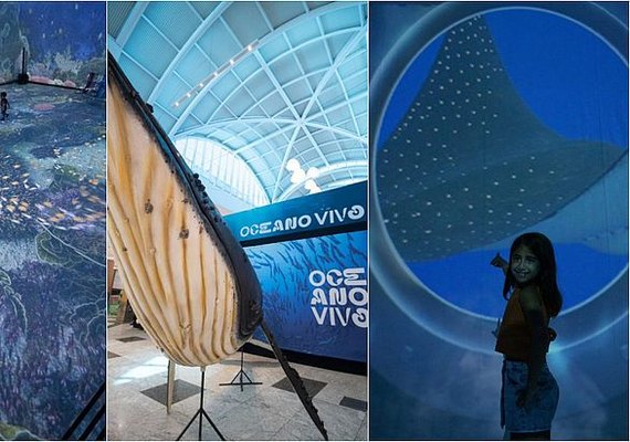 Oceano Vivo: encanto, desejos e mistérios em um espetáculo subaquático imersivo em Maceió